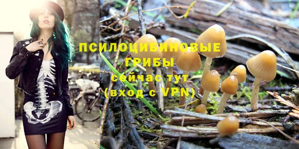 кокаин премиум Каменка