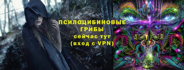 дмт Каменногорск
