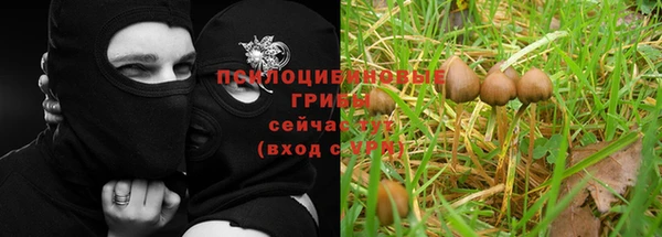 кокаин премиум Каменка