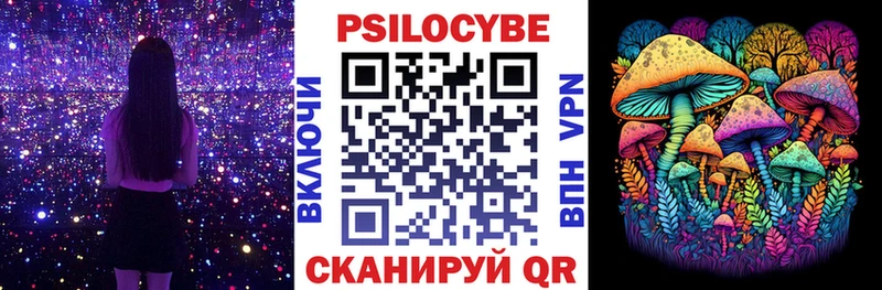 Галлюциногенные грибы GOLDEN TEACHER  Купить  Ейск 